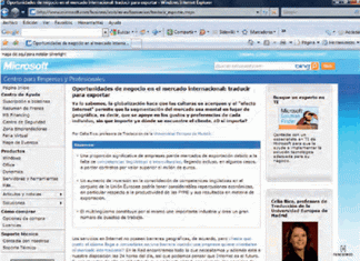 Perfiles profesionales en Traducción e Interpretación: análisis DAFO en el marco de la sociedad multilingüe y multicultural