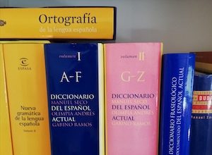 La lengua que no cesa: charla con Elena Álvarez Mellado y Elena Hernández Obras de referencia