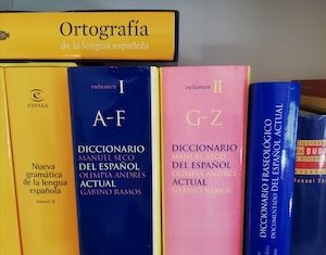 La lengua que no cesa: charla con Elena Álvarez Mellado y Elena Hernández Obras de referencia