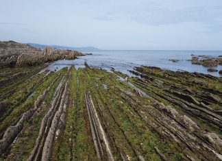 La historia de la Tierra en una tabla GSSP de Zumaia