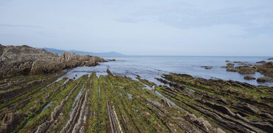 GSSP de Zumaia