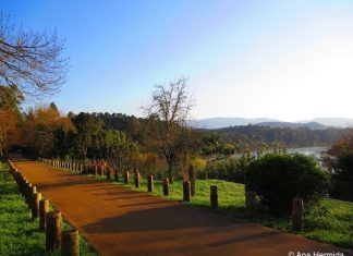 Un lugar de cuyo nombre sí quiero acordarme (fotografías)