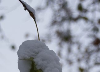 Entrevista a Alberto Álvarez Lugrís, profesor de Traducción e Interpretación de la Facultad de Filología y Traducción de la Universidad de Vigo
