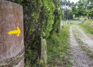 Prontuario de vida para correctores