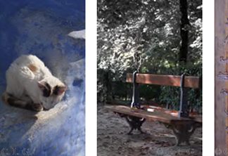 Ilustraciones del número 6