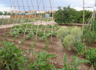 Un lugar de cuyo nombre sí quiero acordarme