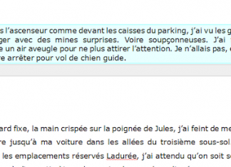 El uso de memorias en la traducción literaria