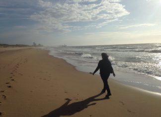 Bachillerato Internacional: un mundo mejor a través de la traducción