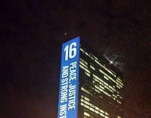 Algunas de nuestras socias en la ONU