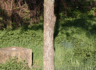 Una imagen vale más que mil palabras… (O no) Sombra del fotógrafo