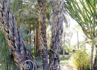 Líneas, curvas y encuentros