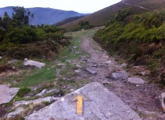 El placer de ‘tradugrinear’ Camino de Santiago
