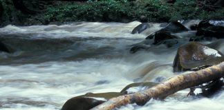 River Flow. On wellbeing and optimal performance Flowing river.