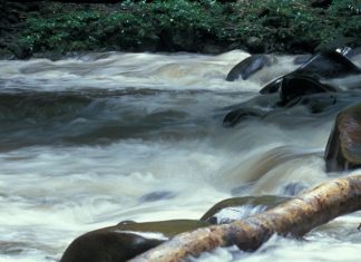 River Flow. On wellbeing and optimal performance Flowing river.