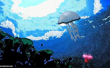 El océano de la ciencia