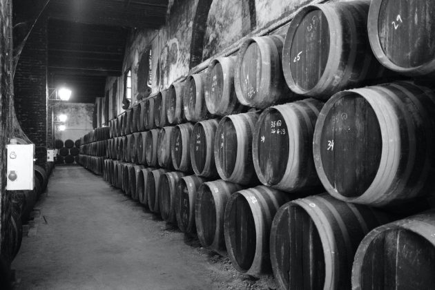 Bodega con barricas