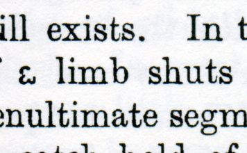 El símbolo misterioso de ‘El origen de las especies’: despistes y franquezas de una traductora obstinada Texto con símbolo misterioso.