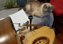 Viajando a través de la fotografía y la música